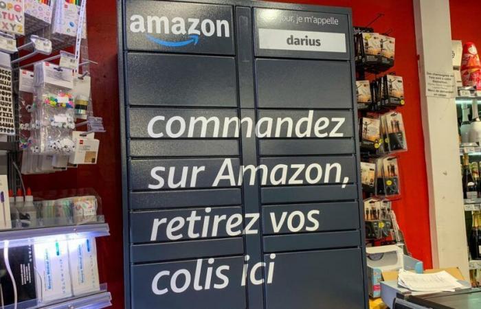 Los libreros están preocupados por la artimaña de Amazon de hacer que la entrega de libros sea gratuita