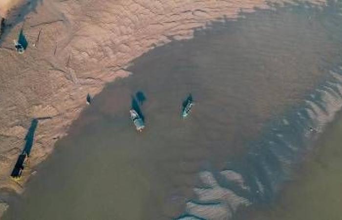 [#DisMoiPourquoi] Cuando el mar está bajo en algún lugar, ¿está alto en otros lugares? ¿A dónde va el agua durante la marea baja?