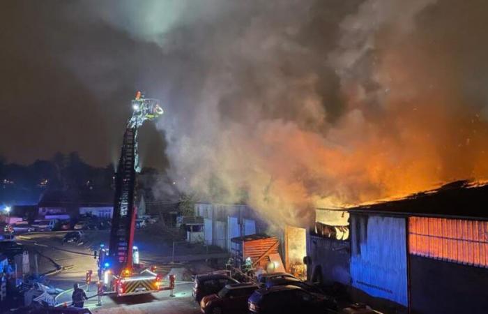 Colmar. Un violento incendio arrasa un almacén de 2.000 m² y se ha impedido su propagación