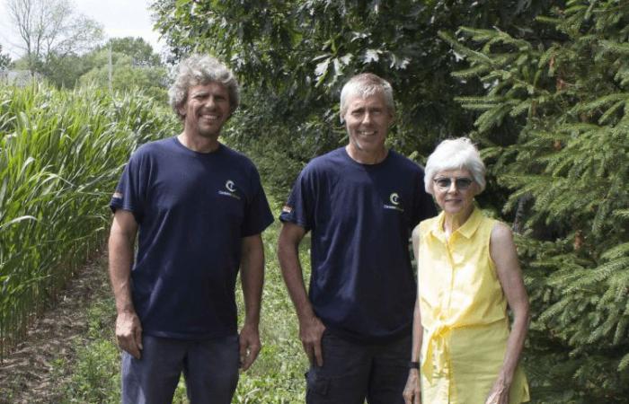 Otro premio para la Caplette de Céréales Bellevue