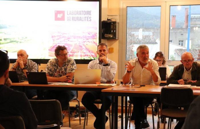 Matadero de Aude, primera infancia y música en el programa del consejo comunitario de los Pirineos Audoises