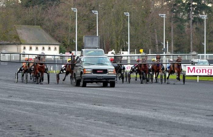 Predicciones de carreras de caballos para el sábado 9 de noviembre de 2024