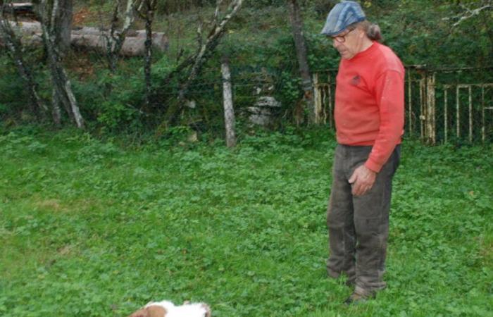 Juró. En Mesnay, el lince ataca a tres cabras enanas y dos ovejas