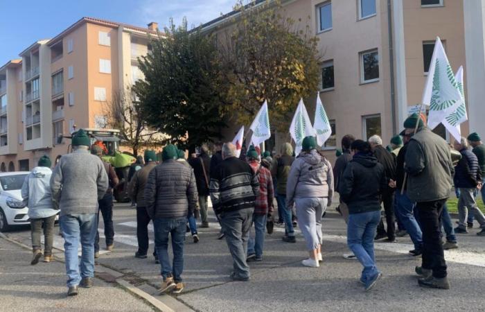 Decenas de paneles desmantelados y colocados frente a la prefectura de Digne-les-Bains.