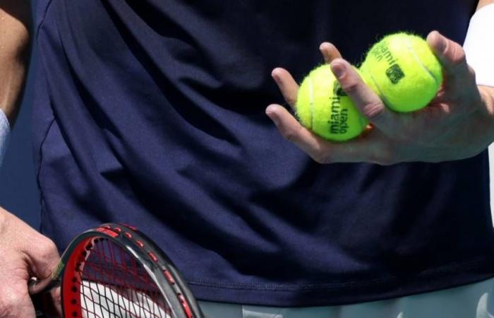 Cuotas de apuestas del Moselle Open y vistas previas de partidos para el 8 de noviembre de 2024, individuales masculinos