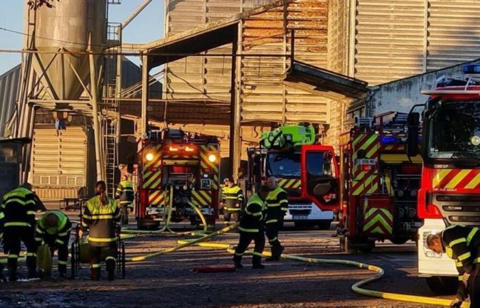 Casi 90 bomberos expuestos al amianto durante el incendio del silo en Villedômer