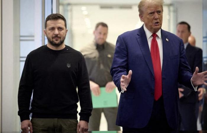 Elon Musk asistió a una llamada entre Donald Trump y Volodymyr Zelensky