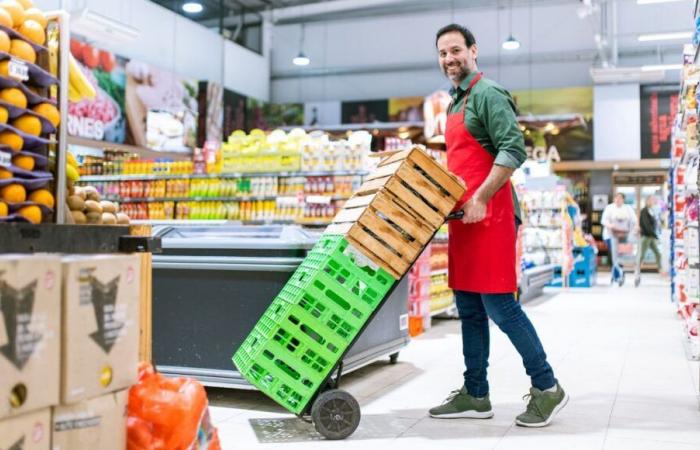 LIDL Sorgues contrata a un miembro polivalente para su equipo con contrato indefinido: ¡únete al equipo!