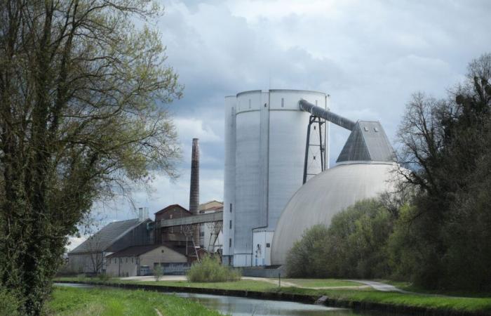 ¿Pero de dónde viene el azúcar que asfixia a cientos de peces en Sena y Marne?