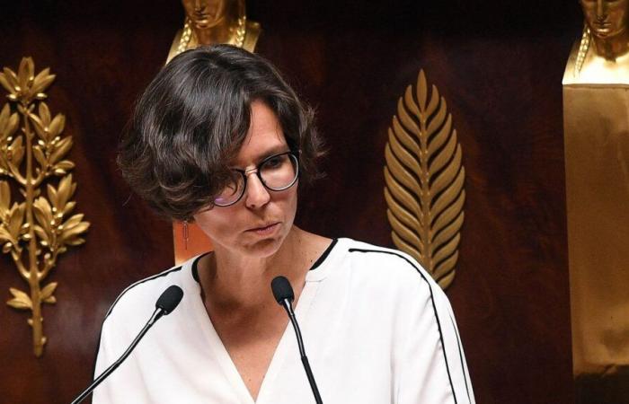 Legislativa parcial en Isère: Camille Galliard-Minier, ex diputada de Olivier Véran, es candidata