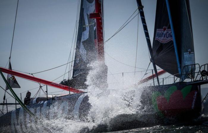 Un número récord de participantes, barcos cada vez más rápidos… Lo que hay que saber sobre la vuelta al mundo