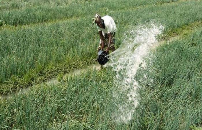 Innovación e investigación agrícola en el menú del ISRA CST para la agricultura sostenible en Senegal – VivAfrik