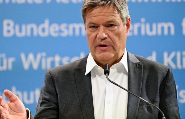 Alemania: Habeck se presenta como candidato a canciller del Partido Verde