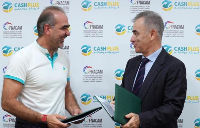 CASHPLUS y FNACAM se unen para fortalecer la red de corredores de seguros