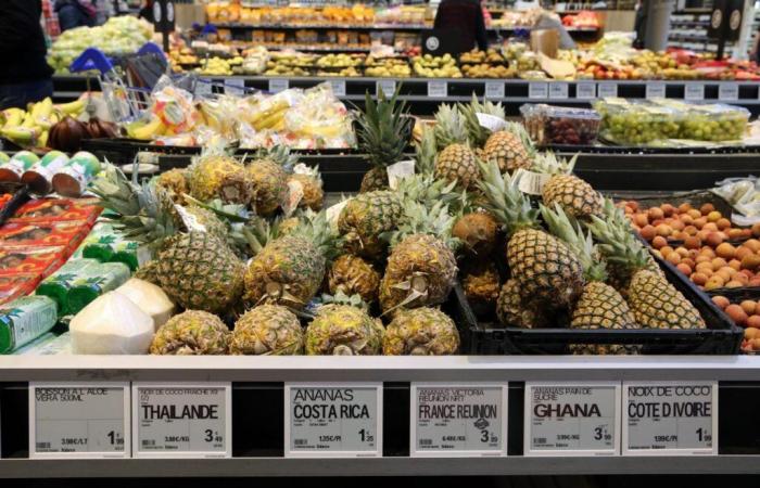 El Consejo de Estado anula un decreto que prohibía los envases de plástico para frutas y hortalizas frescas