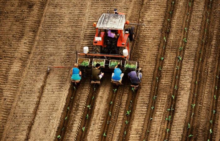 Consumo responsable en Francia, cuando el precio justo está entre las primeras expectativas