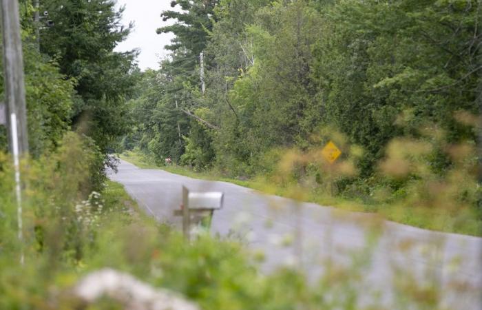 Deportación deseada por Donald Trump | ¿Hacia una nueva afluencia de inmigrantes a Quebec?