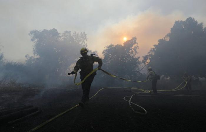 Incendio en Los Ángeles: más de 8.300 hectáreas quemadas, viviendas destruidas y miles de vecinos evacuados