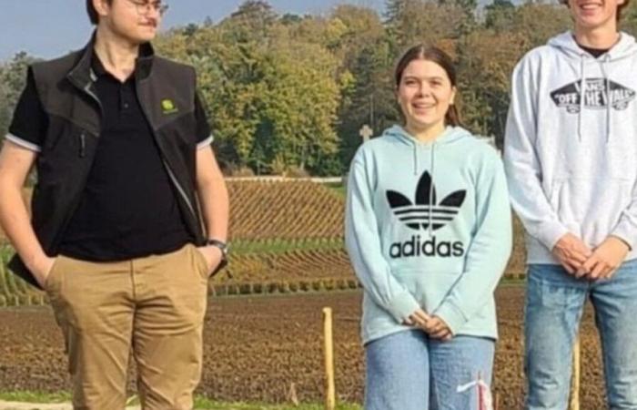 “Este árbol será su confidente”: niños con cáncer plantarán un “bosque de estrellas” en el Marne