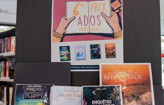 Pornichet. Cuatro libros seleccionados para el premio Leo, me gusta adolescente