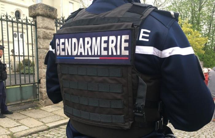 Cerca de Dijon. Dos adolescentes bajo custodia policial por el sangriento asesinato de un cuarentón