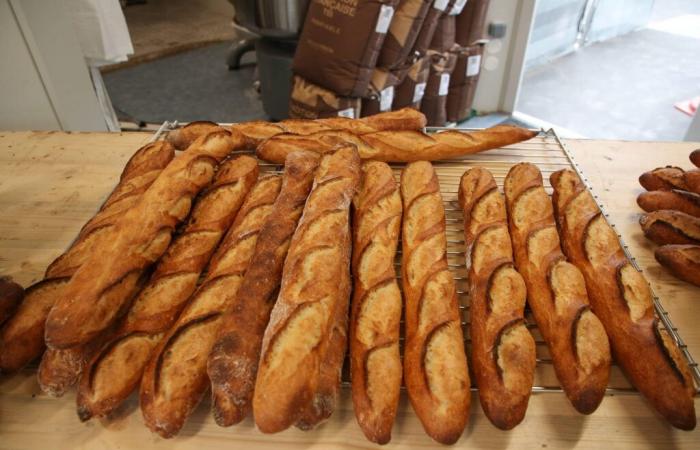 Nuevo precio récord para las baguettes: ¿la suya es más cara que en el resto de Francia?