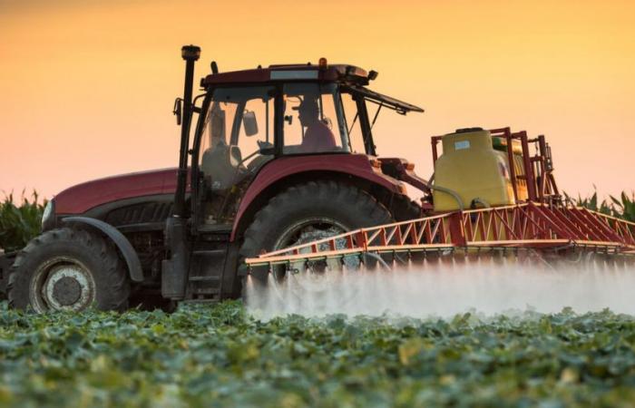 Se cree que 22 pesticidas están involucrados