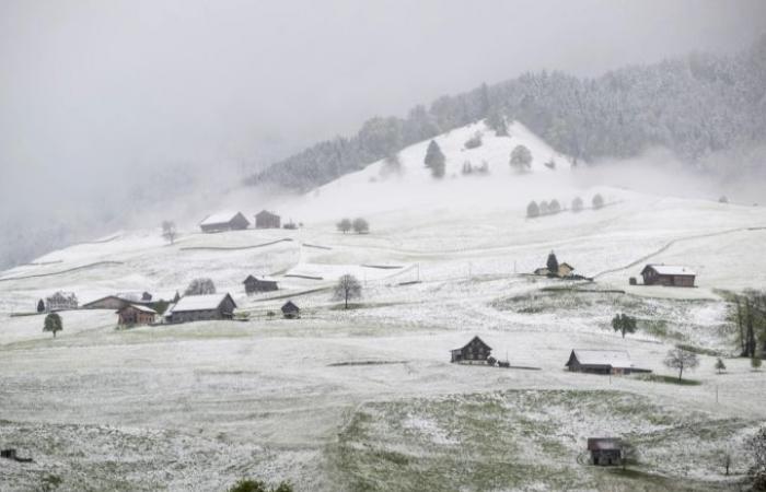 A partir del martes habrá nieve hasta 800 metros