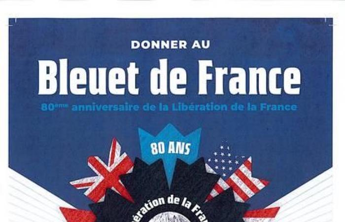 Campaña nacional Bleuet de France – 11 de noviembre de 2024 – Noticias