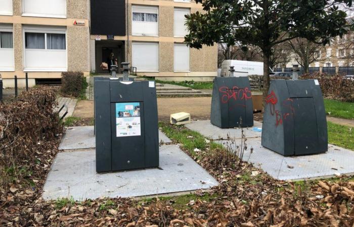 La madre del bebé tirado a la basura denuncia la violación y violencia del padre del niño