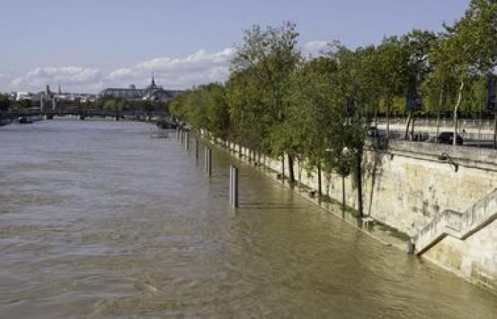 El Ayuntamiento de París quiere preparar a los habitantes de la capital ante el “riesgo de inundaciones” ofreciéndoles “una gran operación de sensibilización”