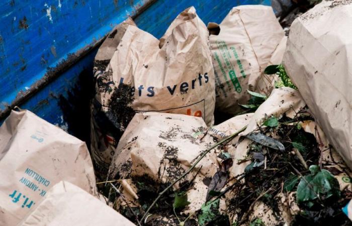 Día festivo: todos los centros de reciclaje de la Eurometrópolis abren el 11 de noviembre, se pospone la recogida de residuos