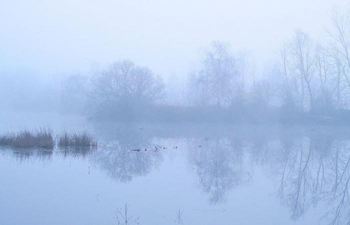 Cielos nublados, ausencia de sol, niebla: Indre-et-Loire vive uno de los peores principios de noviembre en 25 años