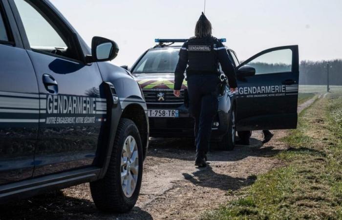 Armado con un hacha, amenaza con quemar su casa en Charente-Maritime