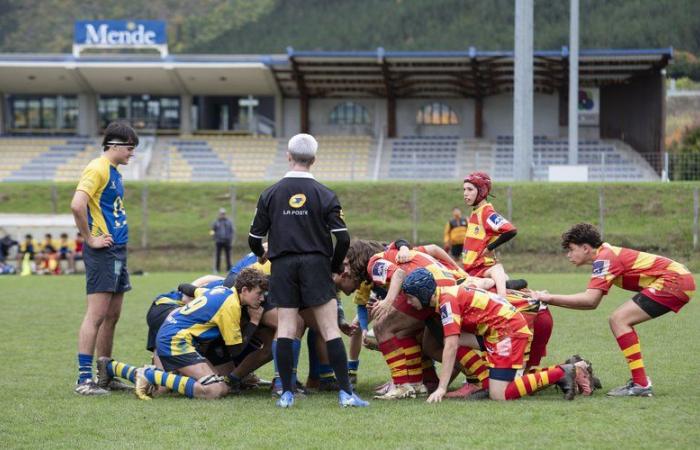 Rugby: los jóvenes del Rugby Club Mende Lozère reciben el sábado al Ras Bassin Sud Montpelliérain, para una jornada de alta intensidad