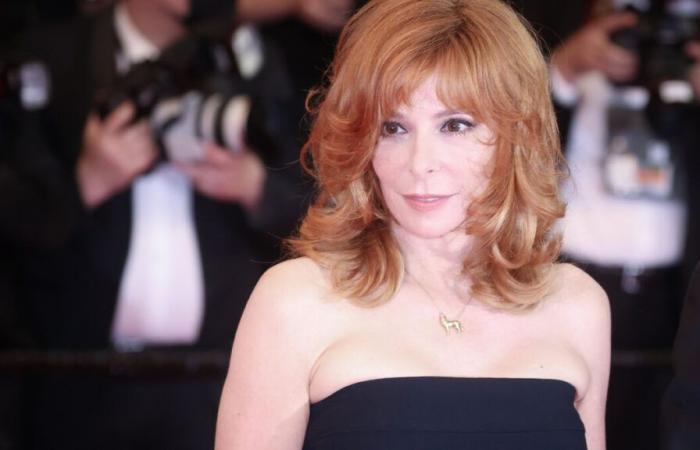 “¡La reina Mylène Farmer está aquí! »: el cantante hace una aparición sorpresa en el Grand Rex de París