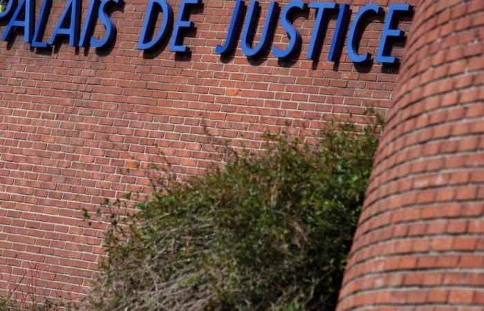 La fiscalía de Bobigny apela la decisión de someter a la madre a vigilancia judicial.