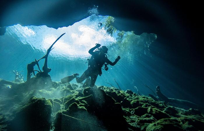 8 de los mejores cenotes cerca de Tulum