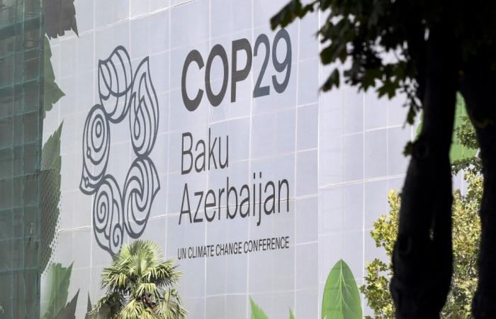 Por primera vez en 10 años: ningún ministro valón irá a la COP29 en Azerbaiyán, ¿por qué?