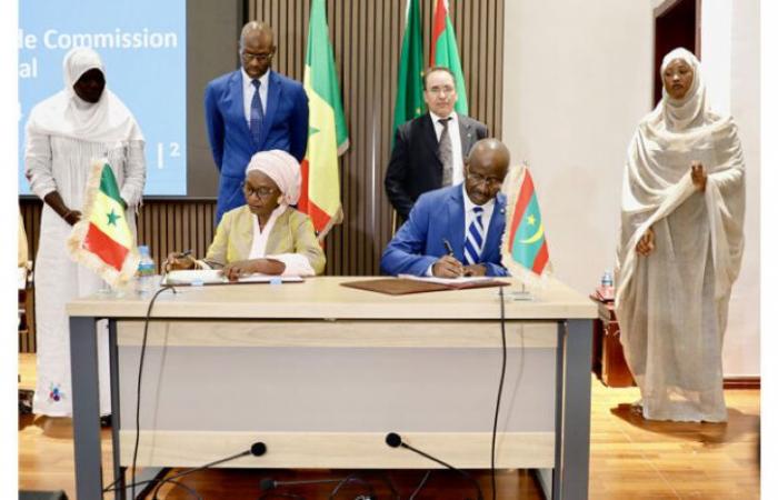 Cooperación. Mauritania y Senegal estrechan sus vínculos