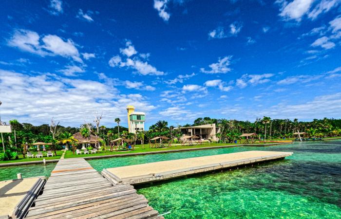 8 de los mejores cenotes cerca de Tulum