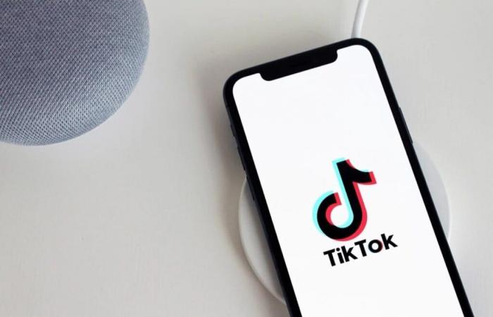 Este país prohíbe TikTok, la empresa es una amenaza para la seguridad nacional