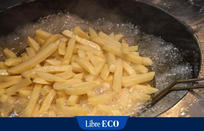 “A principios de octubre todavía había algunos temores”: el tiempo todavía respeta las patatas belgas, buenas noticias para las patatas fritas