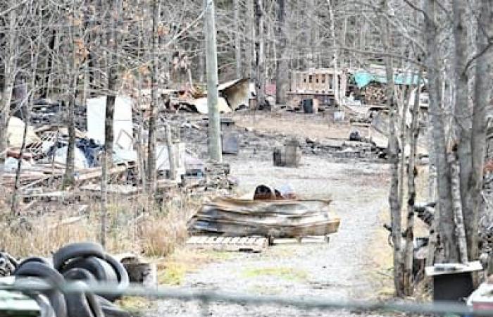 Incendio en Saint-Malachie: los Hells supuestamente atacaron a un ex vendedor