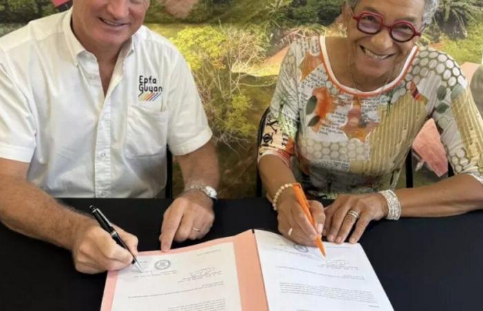 EPFA Guyana y SAFER Guyana unen fuerzas para la gestión sostenible de tierras agrícolas