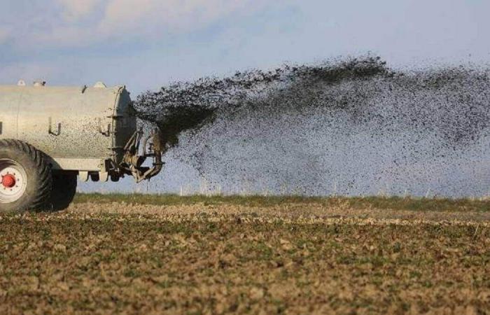 La agricultura gana importancia en la economía argelina