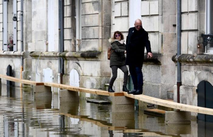 Los parisinos serán conscientes del “riesgo de inundaciones” en 2025