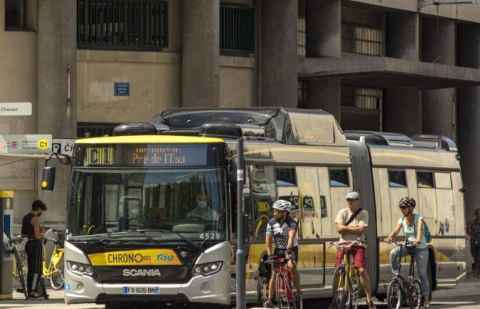 Un conductor de tranvía fue atacado con una bomba lacrimógena.