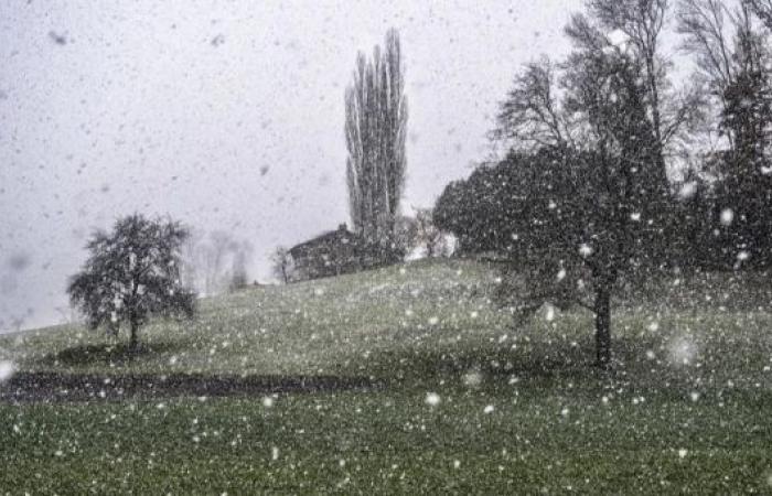 A partir del martes habrá nieve hasta 800 metros