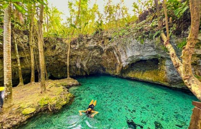 8 de los mejores cenotes cerca de Tulum